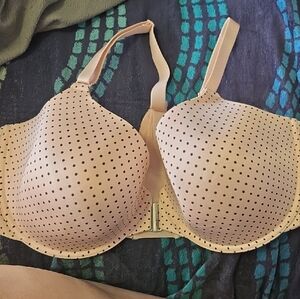 Penningtons Beige and Black Dot Bra